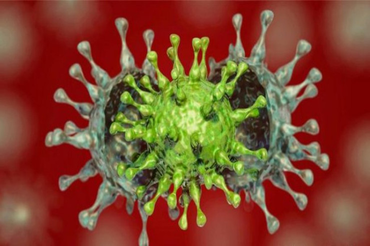 Koronavirusa yoluxanlar çoxaldı -  SON STATİSTİKA 