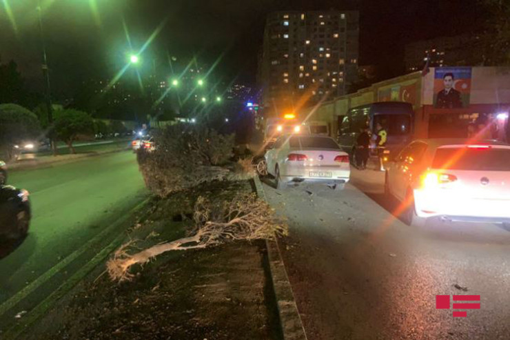 “Volkswagen” ağaca çırpıldı, sərnişin yaralandı -FOTO 