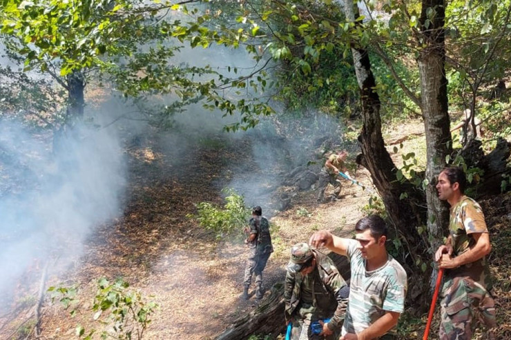 Zaqatalada meşə yanğınının yayılmasının qarşısı alındı - VİDEO 