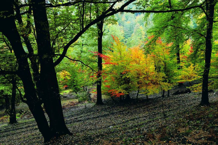 İstirahət günlərində  milli parklarda   gözlənilən hava şəraiti