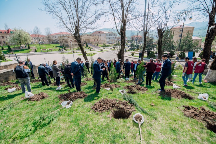 Növbəti 3 rayonda “Vətən Bağı” salındı