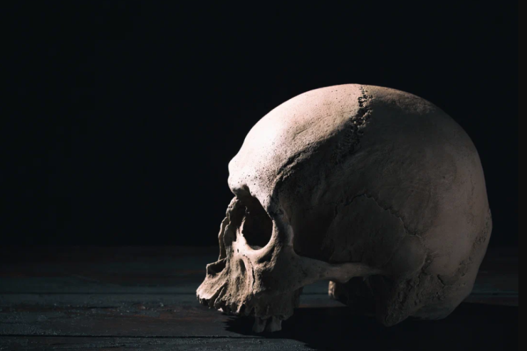 Stadionda  insan qalıqları   tapıldı