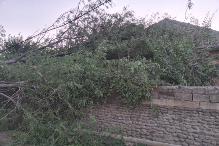 Aşan ağac evi zədələdi, yolu bağladı-FOTO 