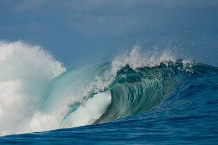 Tarixin ən böyük "yarmaz dalğası"  - VİDEO 