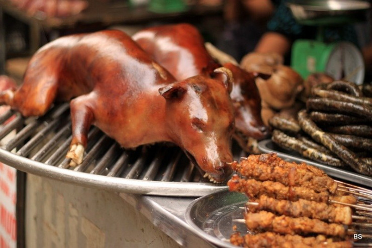 Bu ölkədə  it ətindən   yemək veriləcək dünyada ən böyük restoran açılacaq