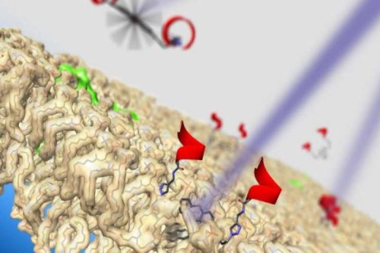 Xərçəng hüceyrələrini öldürən molekulyar nanomaşınlar yaradıldı