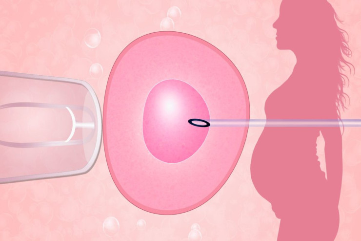 "Süni mayalanma ilə uşaq dünyaya gətirməzlər" - DEPUTAT 