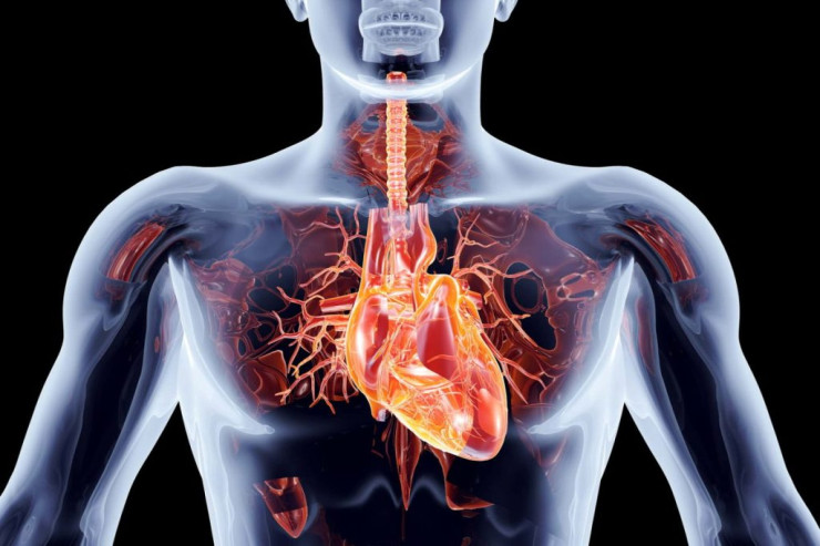 Bu insanlarda baş ağrıları ilə  infarkt arasında   əlaqə tapıldı