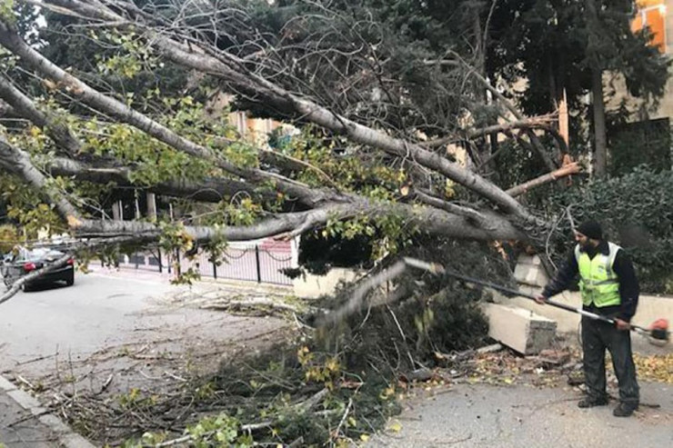 Güclü külək avtomobil yollarını BAĞLADI 