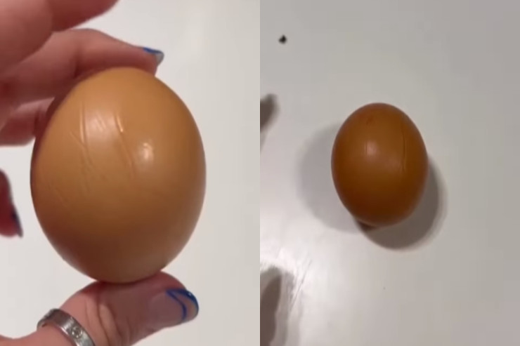  Unikal   toyuq yumurtası
