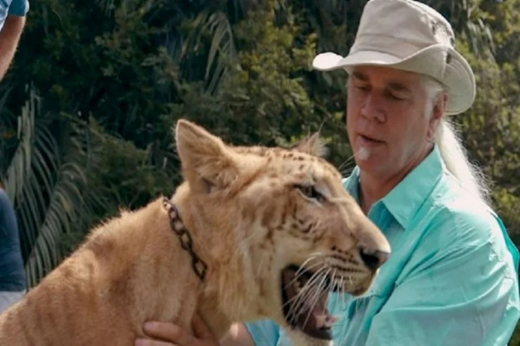 Netflix serialının ulduzuna qarşı  qaçaqmalçılıq   İTTİHAMI