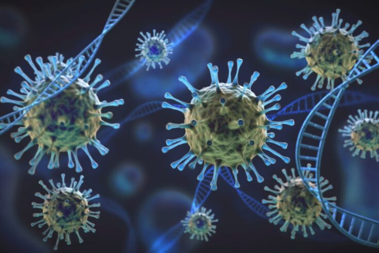 İki  yeni virus   kəşf edildi