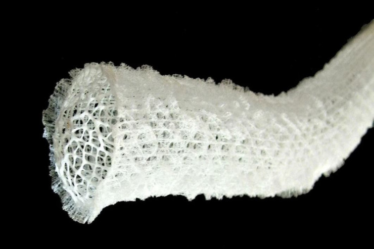 Bu canlı 11 000 il  yaşayır