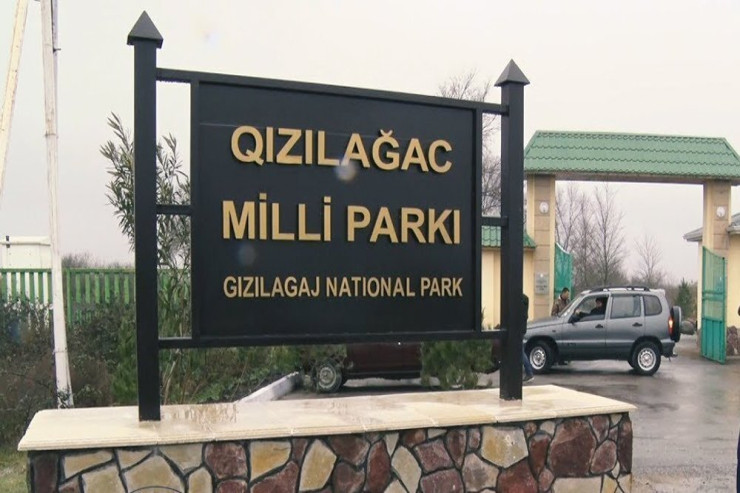 Qızılağacda elektriklə balıq tutan saxlanıldı