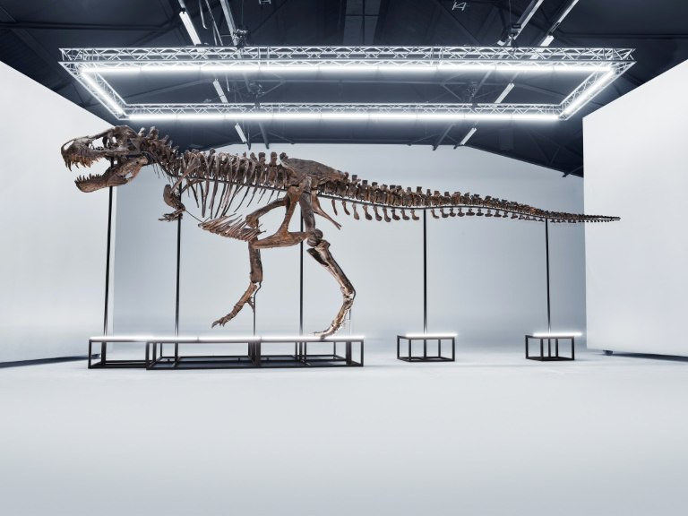 67 milyon illik dinozavr skeleti satılır-FOTO