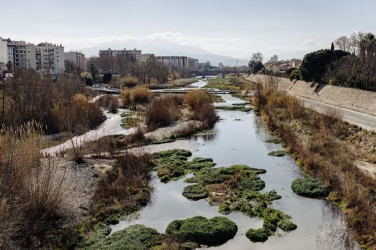 Quraqlığa fransızsayağı çarə: Yağış duası 