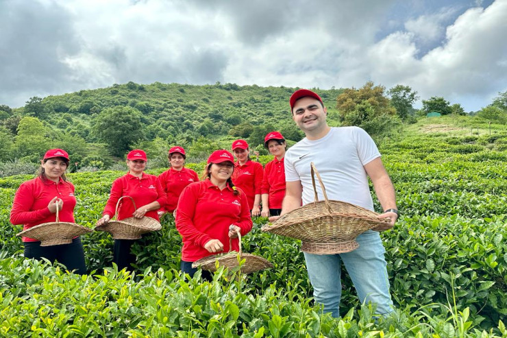 “Azerçay” Beynəlxaq Çay Günü münasibətilə silsilə tədbirlər həyata keçirib -FOTO 