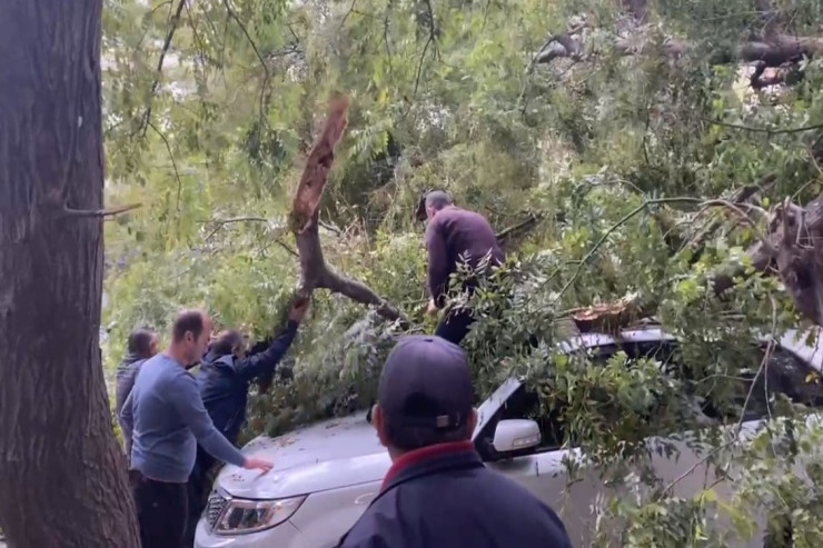 Bakıda güclü külək ağacı maşının üstünə aşırdı - VİDEO 
