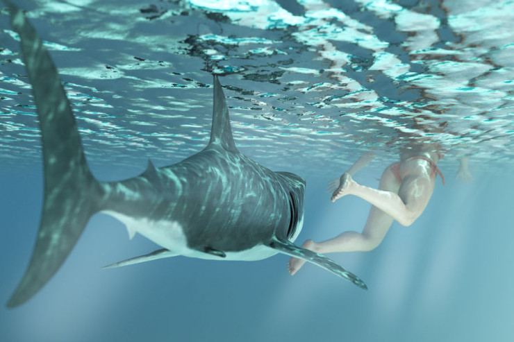 Ayağını köpək balığı parçaladı, üzməyə davam etdi 