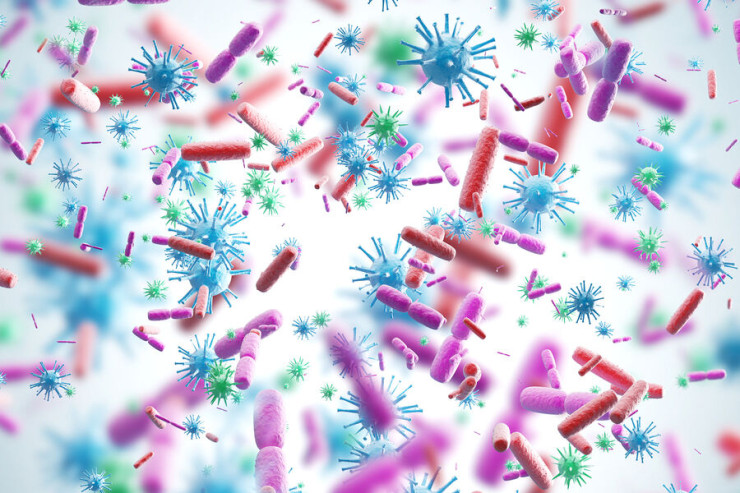 Dünyanın ən ölümcül  VİRUSLARI 