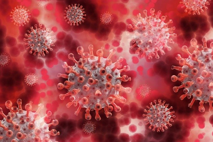 Koronavirusun yeni ölümcül dalğası barədə  XƏBƏRDARLIQ  
