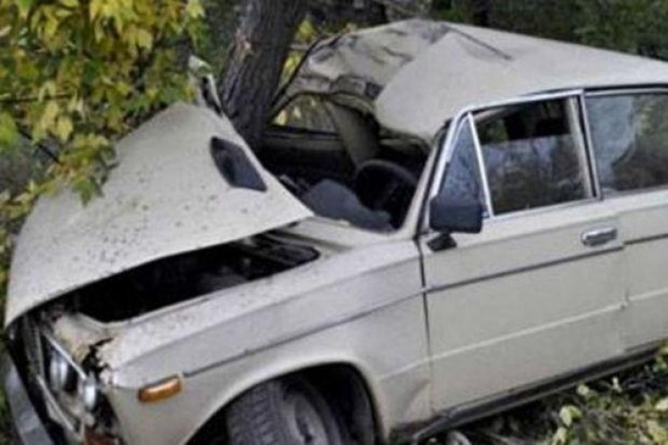 Şamaxıda "Jiquli" ağaca çırpıldı, yeniyetmə öldü