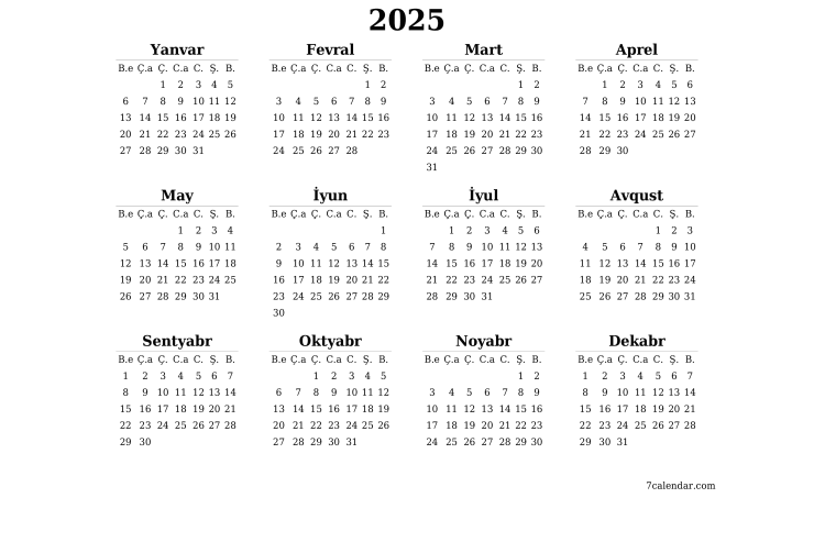 2025 nə ili olacaq? - SƏRƏNCAM 