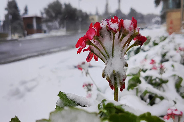 43.5 dərəcə  isti, 22 dərəcə  şaxta olub - Azərbaycan illik hava STATİSTİKASI 