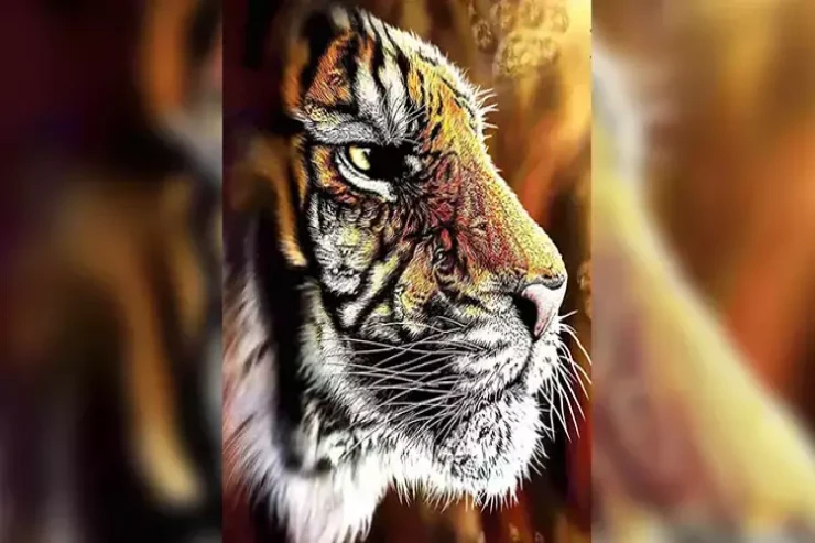 Şəkildə gizlənmiş  4 pələngi 9 saniyəyə   tapsanız, xüsusi istedadsınız!