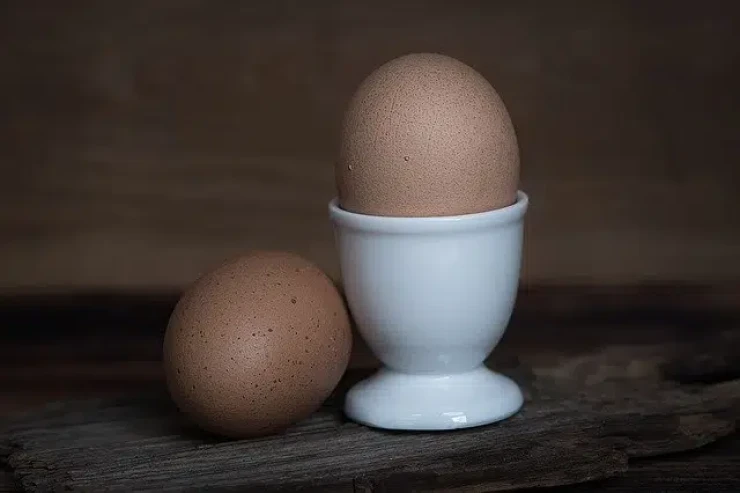 Niyə hər gün yumurta  yeməlisiniz?