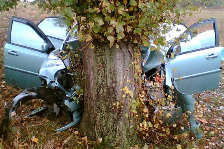 Beyləqanda QƏZA:  Avtomobil ağaca çırpıldı