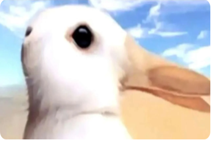 Ördək, yoxsa dovşan:  Bu psixoloji test bütün sirlərinizi  açacaq
