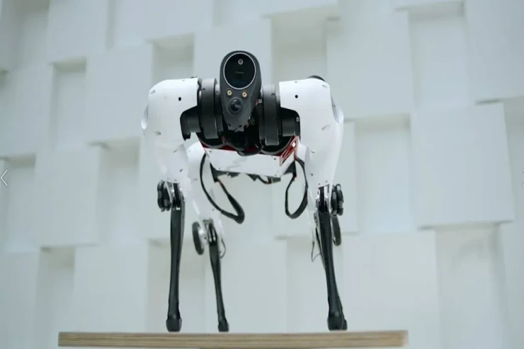 Heyvanları izləyəcək yeni robot yaradıldı  
