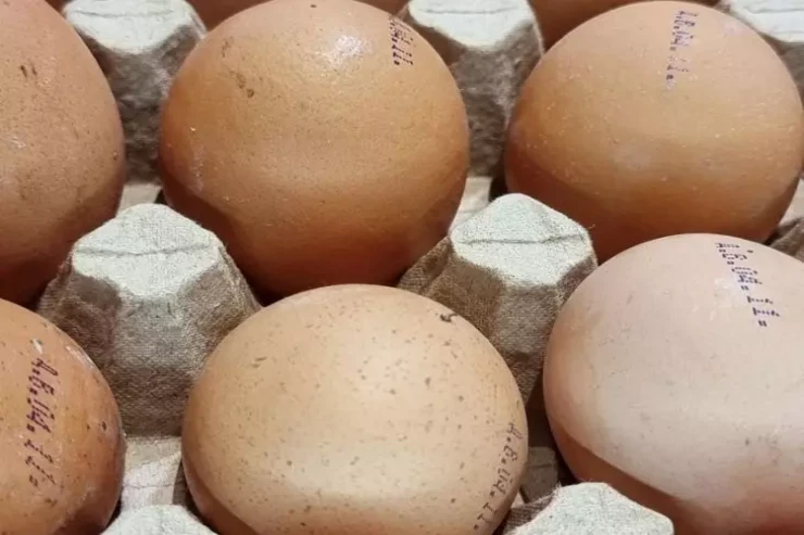 Evdar qadınlar bu yumurtaları heç vaxt mağazadan almırlar  – Əsas SƏBƏB 