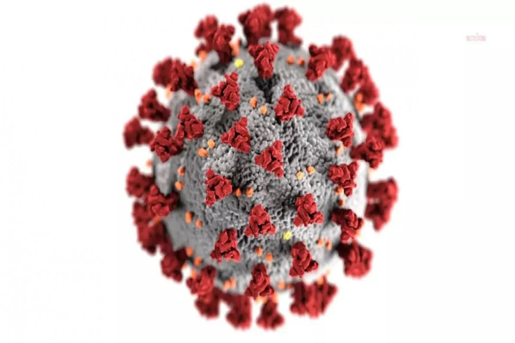 Koronavirusun yay dalğası gəldi:  FLiRT sürətlə yayılır 