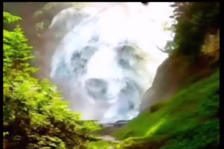 Rəsmdə ilk nə gördünüz?  – Xarakter TESTİ 