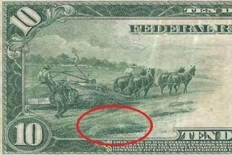 Dolların üstünə şəkli vurulan çətənə niyə “düşmən”  elan edildi?