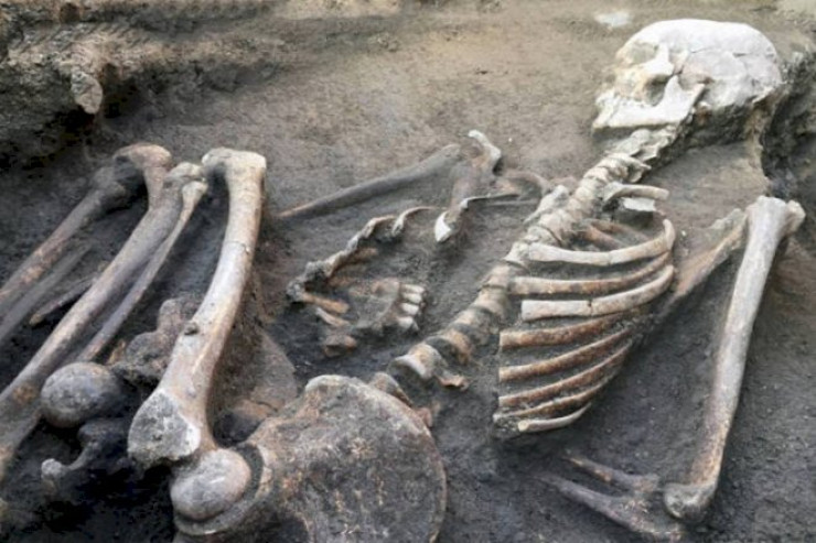 Meşədən insan skeletləri tapıldı