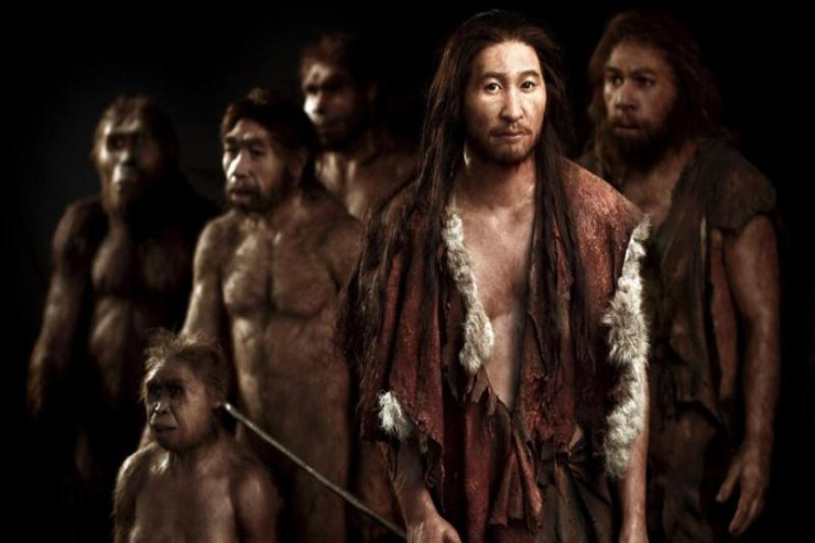 İnsanlar nə vaxt ilk dəfə  paltar geyinməyə   başladılar?