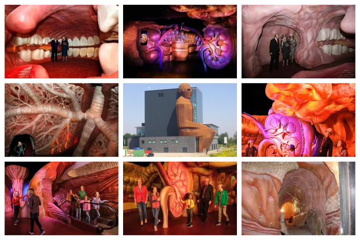 Burada insan ağzının içində gəzirlər - Qəribə məkan 