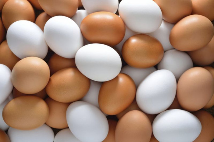 Gündə bu qədər yumurta  yemək olar – Dietoloqlardan məsləhət