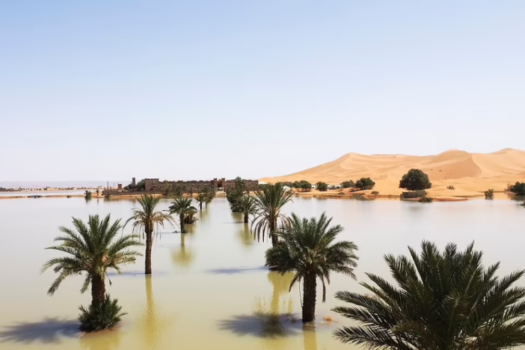 Saxara səhrasına misli görünməmiş leysan yağdı:  Turistlər həlak oldu 