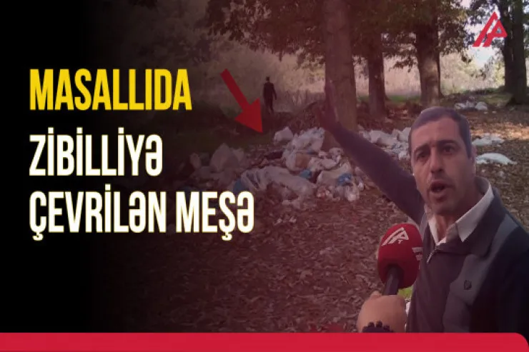 Masallıda zibilləri daşıyıb meşəyə atırlar -VİDEO 
