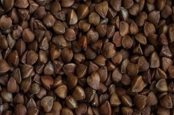 Müntəzəm olaraq qarabaşaq yemək orqanizmdə nə yaradır? 