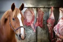 Yasamalda BİRGƏ ƏMƏLİYYAT:  1 tondan çox at əti  aşkarlandı - VİDEO 