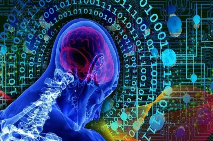 İnsanın beyin toxumaları ilə işləyən  kompüterlər hazırlanır