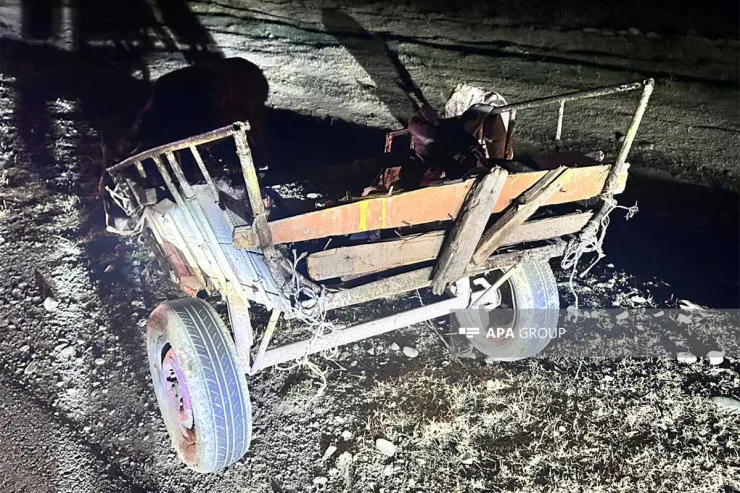 Avtomobillə eşşək arabası toqquşdu - Ağır xəsarət alanlar var -FOTO