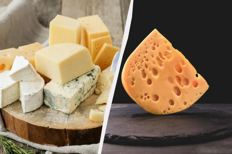 Pendir niyə soyuducuda belə tez xarab olur? 