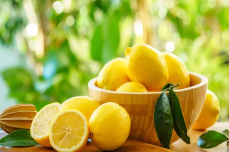 Qoxuya qarşı mübarizə:  Bir neçə damcı limon suyu yox edir 