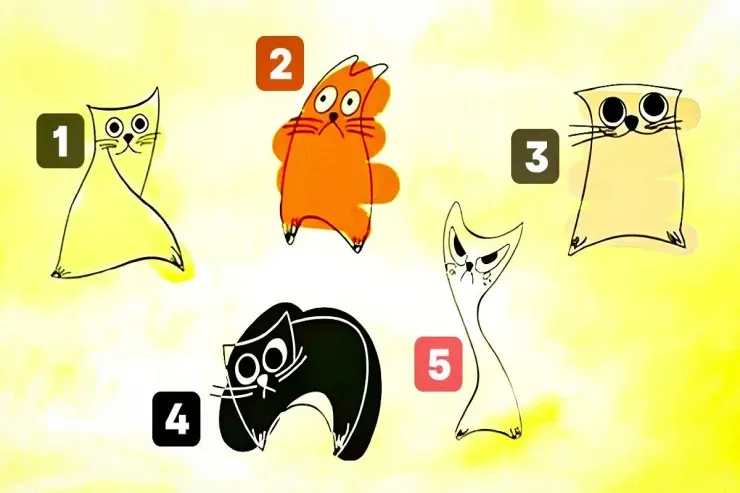 Pişik seçiminiz yaxınlarınızın sizi necə insan hesab etdiyini  ortaya çıxaracaq: çox dəqiq TEST 